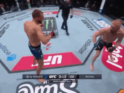 Two Men Fighting In UFC Ring With Monster Energy GIF