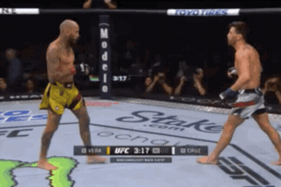 Two Men Fighting In UFC Ring With Monster Energy Logo GIF