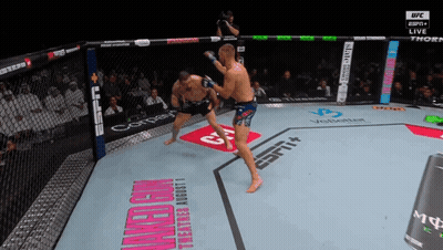 Two Men Fighting In UFC Ring With Naked Gun GIF