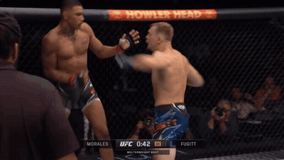 Two Men Fighting In UFC Ring With Toyo Tires Ad GIF