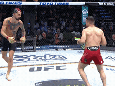 Two Men Fighting In UFC Ring With Toyo Tires Banner GIF