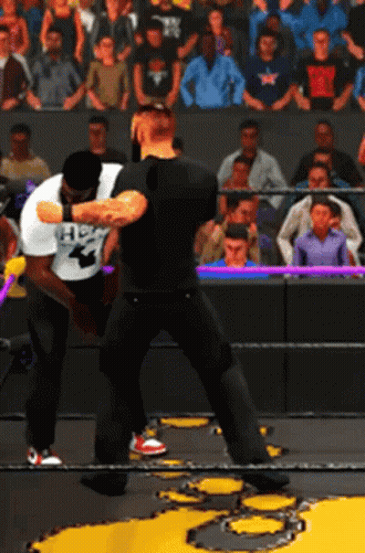 Two Men Fighting In Wrestling Ring One Wearing HHH Shirt GIF