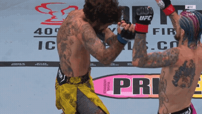 Two Men Fighting Near Sign Saying Pri GIF