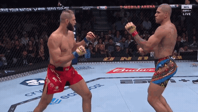 Two Men Fighting T-Mobile Arena Sign GIF