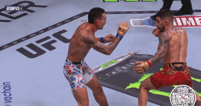 Two Men Fighting UFC Logo GIF