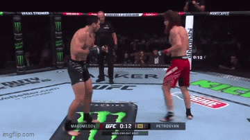 Two Men Fighting UFC Ring Monster Energy Logo GIF
