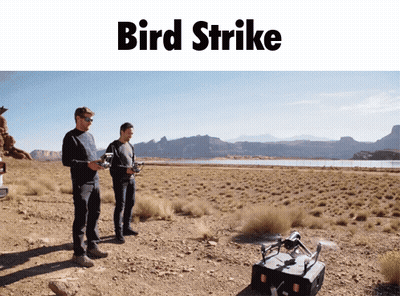 Two Men Flying Drone In Desert With Bird Strike GIF