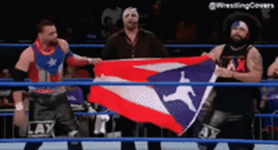 Two Men Holding Flag In Wrestling Ring GIF