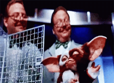 Two Men Holding Gremlin Stuffed Animal GIF