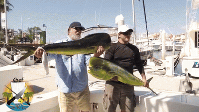 Two Men Holding Large Fish In Front Of Chef Boat GIF
