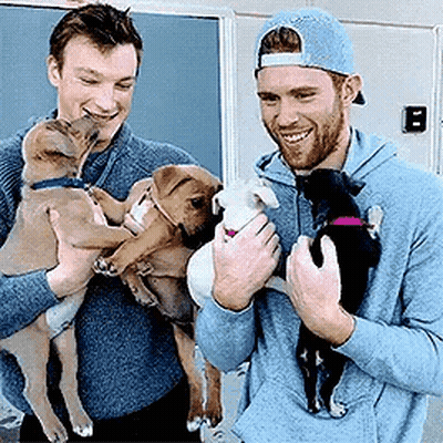 Two Men Holding Three Puppies Smiling GIF