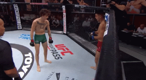 Two Men In A Boxing Ring With Ufc Fightpass On The Side GIF