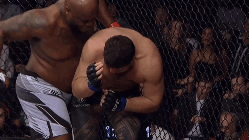 Two Men In A Cage With One Wearing A Ufc Short GIF