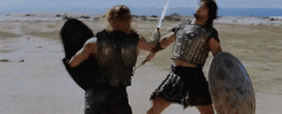 Two Men In Armor Fighting With Swords And Shields GIF