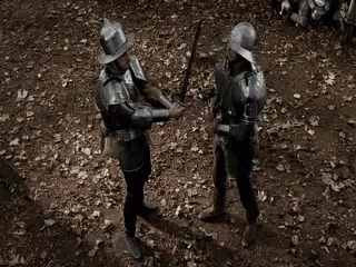 Two Men In Armor Holding Swords In Woods GIF