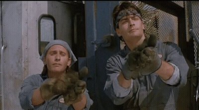 Two Men In Bandanas And Gloves GIF