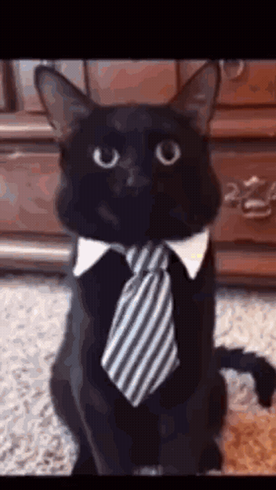 Two Men In Black And White 2021 GIF