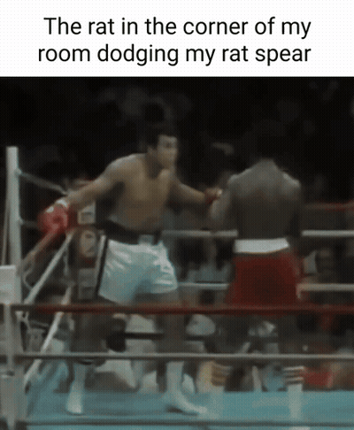 Two Men In Boxing Ring The Rat In The Corner Of My Room Dodging My Rat Spear GIF
