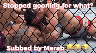 Two Men In Cage Stopped Going For What Merab GIF