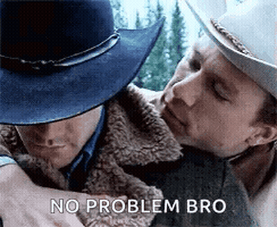 Two Men In Cowboy Hats Are Hugging Each Other With The Words `` No Problem Bro '' Written On The Bottom . GIF