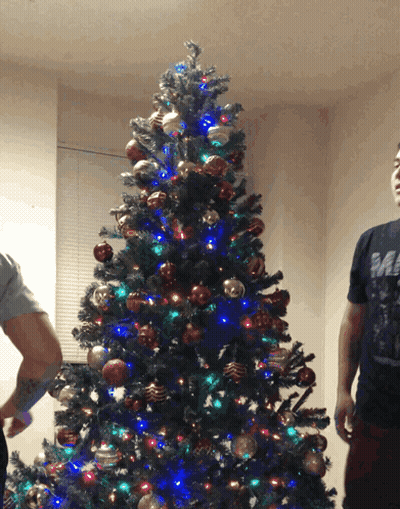 Two Men In Front Of Christmas Tree One Wearing Mad Shirt GIF