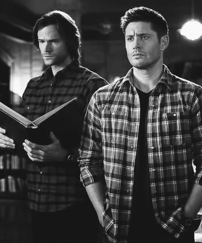 Two Men In Plaid Shirts One Holding Book GIF