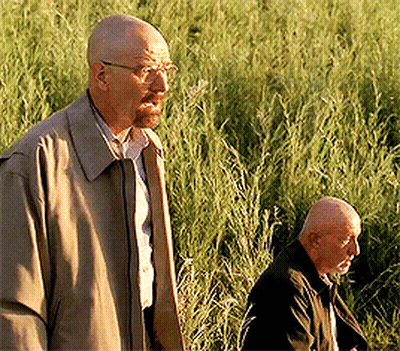 Two Men In Tall Grass One Wearing Glasses GIF