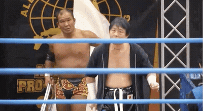 Two Men In Wrestling Ring Pro On Back GIF