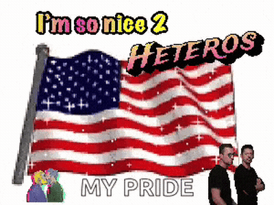 Two Men Next To American Flag Pride GIF