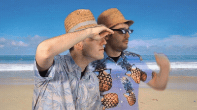 Two Men On Beach In Pineapple Shirts And Straw Hats GIF