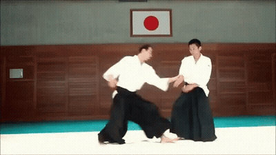 Two Men Practicing Martial Arts In Gym With Japanese Flag GIF