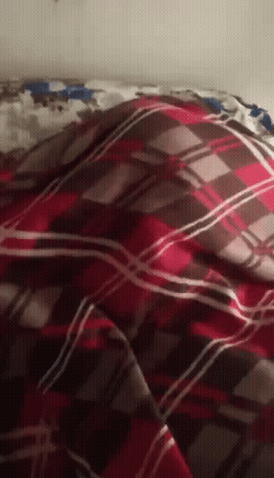 Two Men Riding In Car, One Wearing Ice Cube Shirt GIF