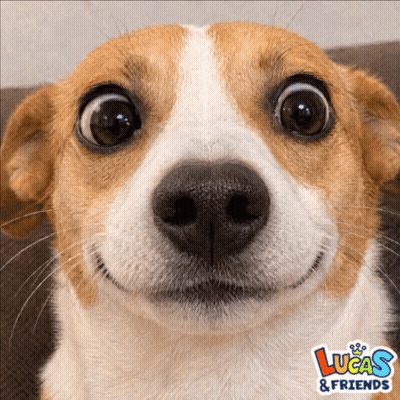 Two Men Saying We Just Need To Talk With You GIF