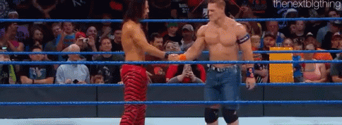 Two Men Shaking Hands In A Wrestling Ring With The Next Big Thing Written On The Bottom GIF