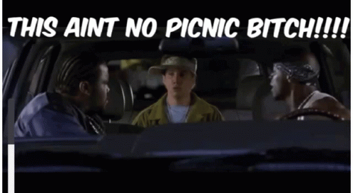 Two Men Sitting In A Car With The Words This Aint No Picnic Bitch GIF