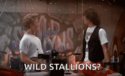 Two Men Standing In Front Of Wild Stallions Wall GIF