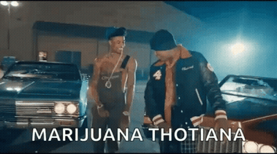 Two Men Standing Next To Car With Marijuana Thotiana GIF