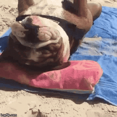 Two Men Standing Next To Each Other GIF