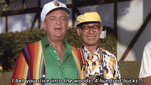 Two Men Standing Next To Each Other With One Saying " I Bet You Slice Into The Woods " GIF
