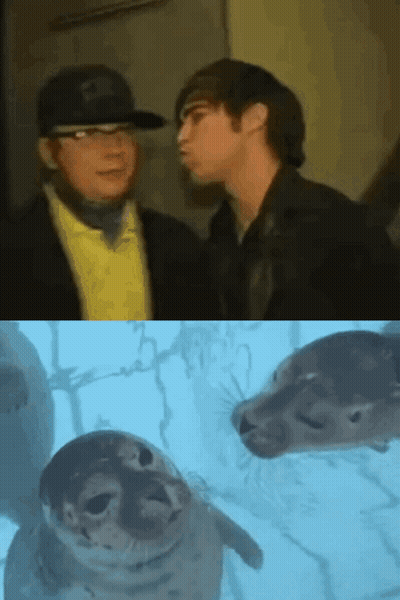 Two Men Standing Next To Seal Looking At Camera GIF