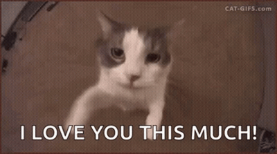 Two Men Standing Together GIF