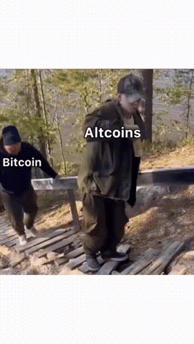 Two Men Walking Up Wooden Staircase One Wearing Altcoins Hat GIF