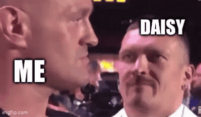 Two Men With Mustaches In Boxing Ring GIF