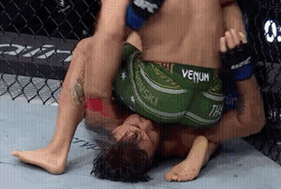 Two Men Wrestling In Cage GIF
