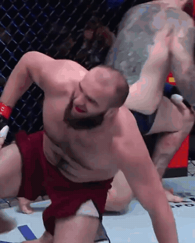 Two Men Wrestling In Cage One With Back Tattoo GIF