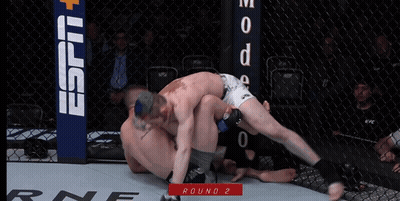 Two Men Wrestling In Cage Round 2 GIF