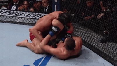 Two Men Wrestling In Cage With UFC Gloves GIF