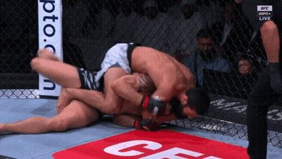 Two Men Wrestling In Cage With UFC Live GIF