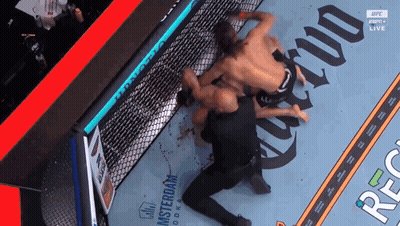 Two Men Wrestling In Cage With UFC Logo GIF