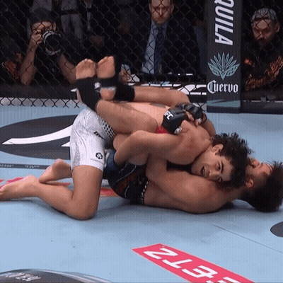Two Men Wrestling In Ring With Cuervo Sign GIF
